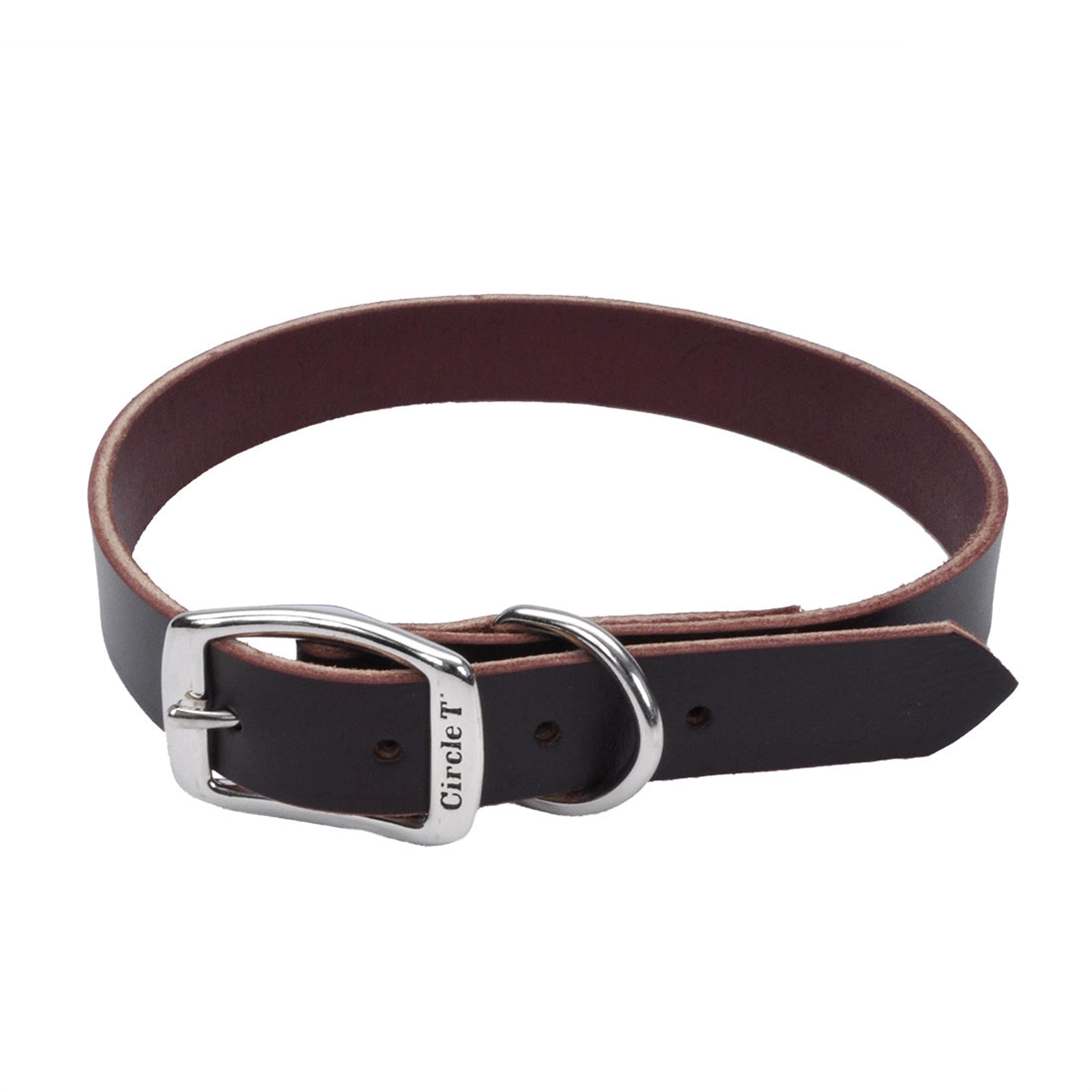 Circle T® Latigo Leather Town Dog Collar, Large