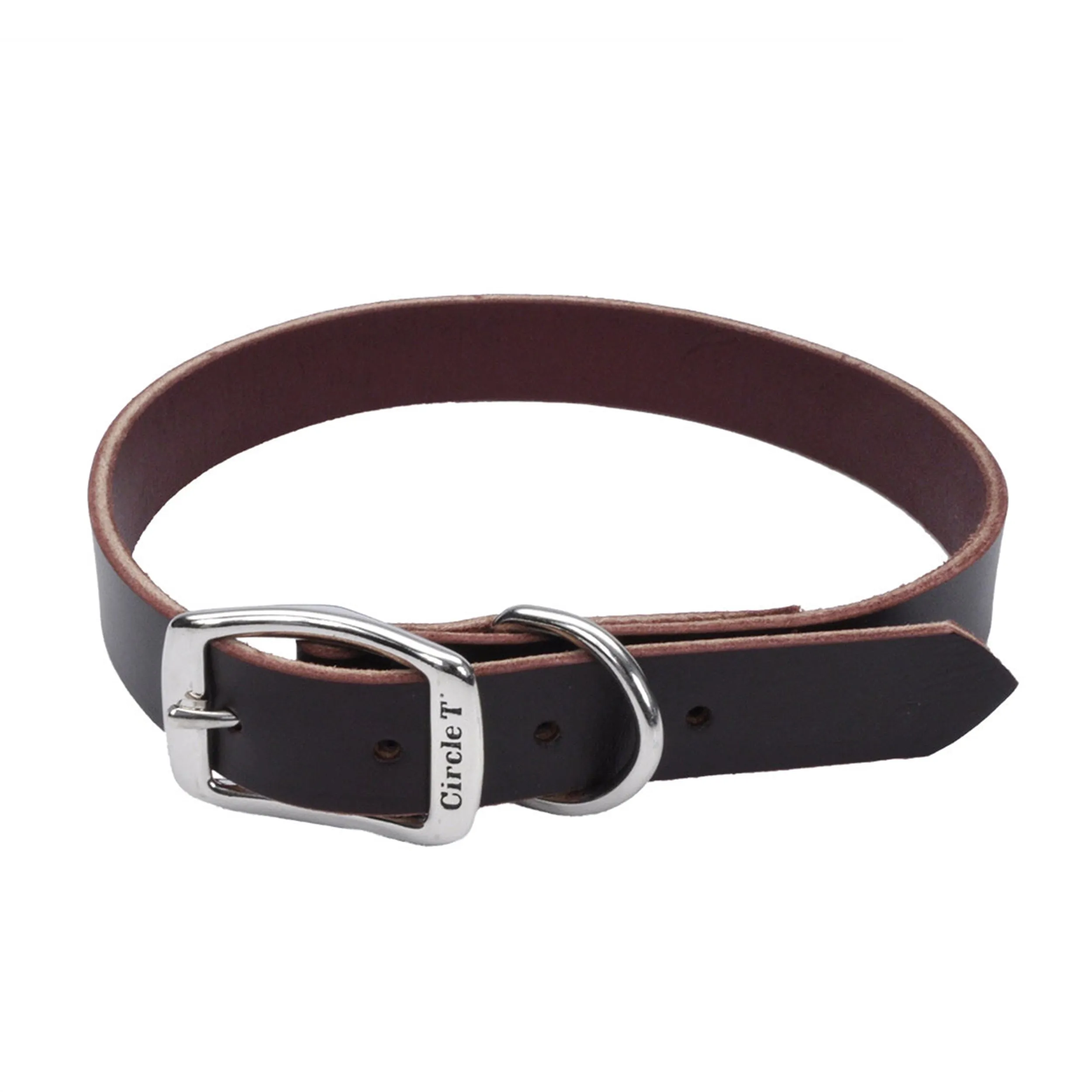 Circle T® Latigo Leather Town Dog Collar, Small