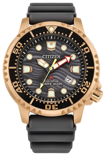 Citizen Eco-Drive Promaster Dive