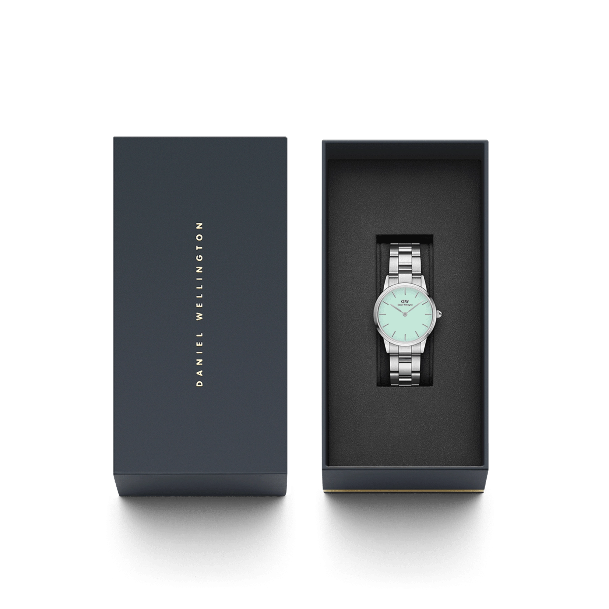 Iconic Link Mint Silver