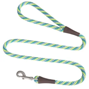 Mendota Snap Leash Large Dog Lead in Seafoam