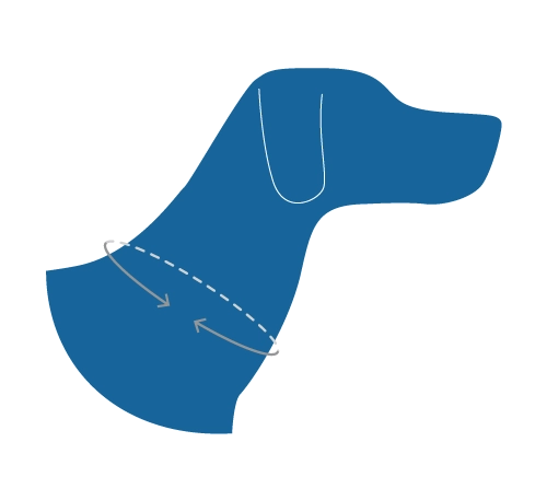RC Pets Eco Clip Collar for Dogs in Mystic Monstera Pattern