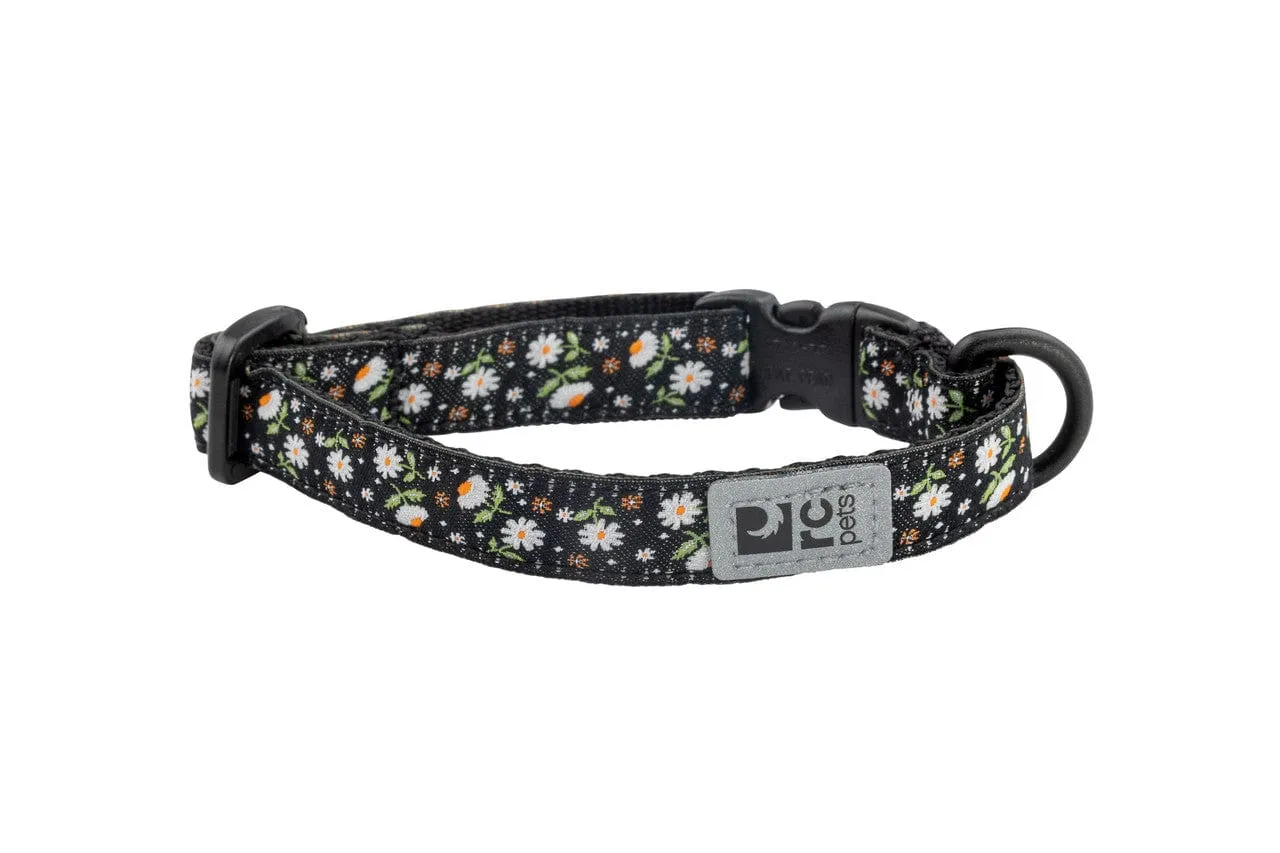 RC Pets Kitty Breakaway Collar for Cats in Daisies Pattern