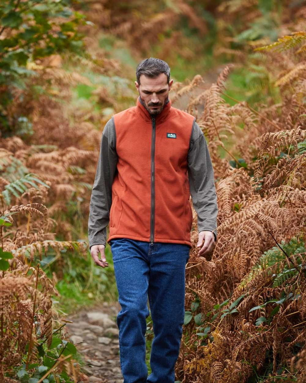 Ridgeline Mens Kodiak Gilet