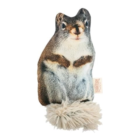 Territory Outdoor Adventure Floppy Squirrel Dog Toy